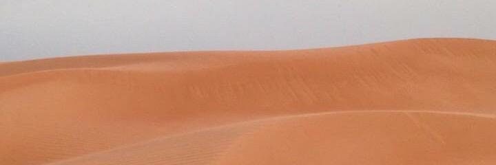 saritagarsan's profile banner image