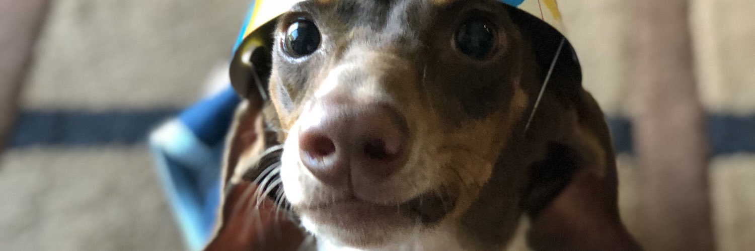 IsabelleAmparan's profile banner image