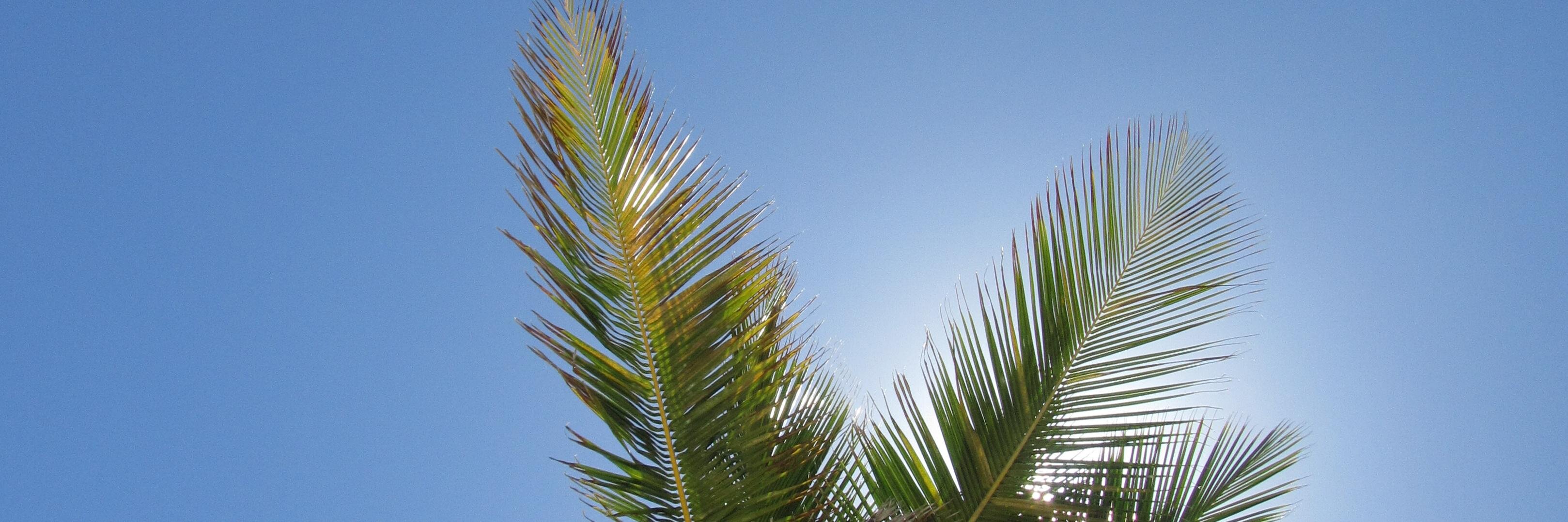 RostislawMusic's profile banner image