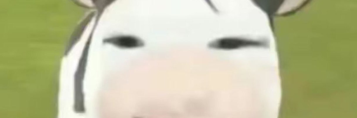 klcqizem's profile banner image