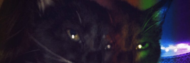 skye_angel_'s profile banner image