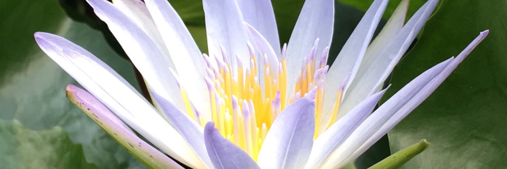 yikes banner