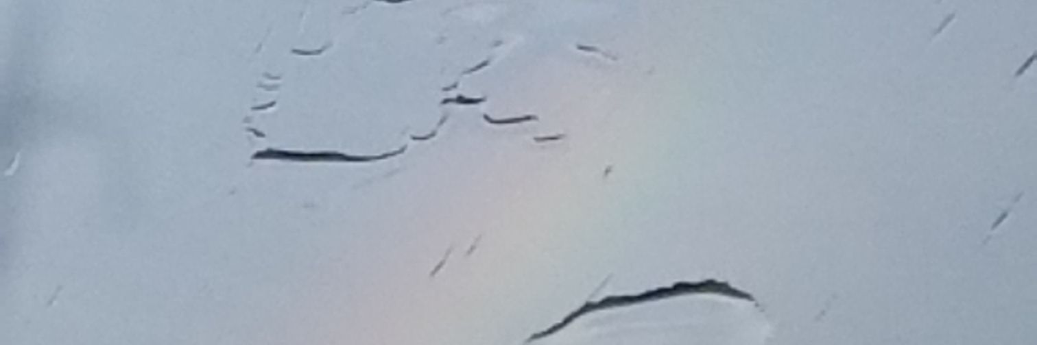 Brad_Dadd's profile banner image