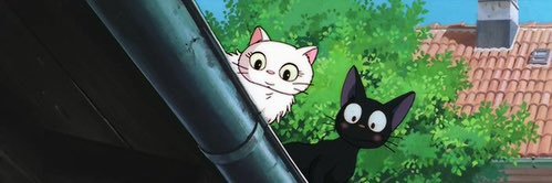 อยากเป็นแมว😾 banner