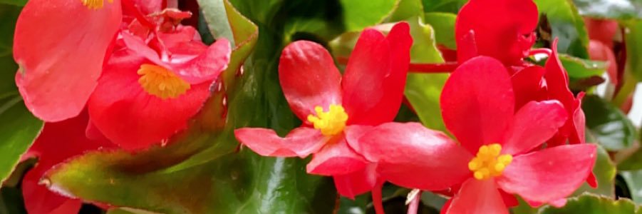 Adam May banner