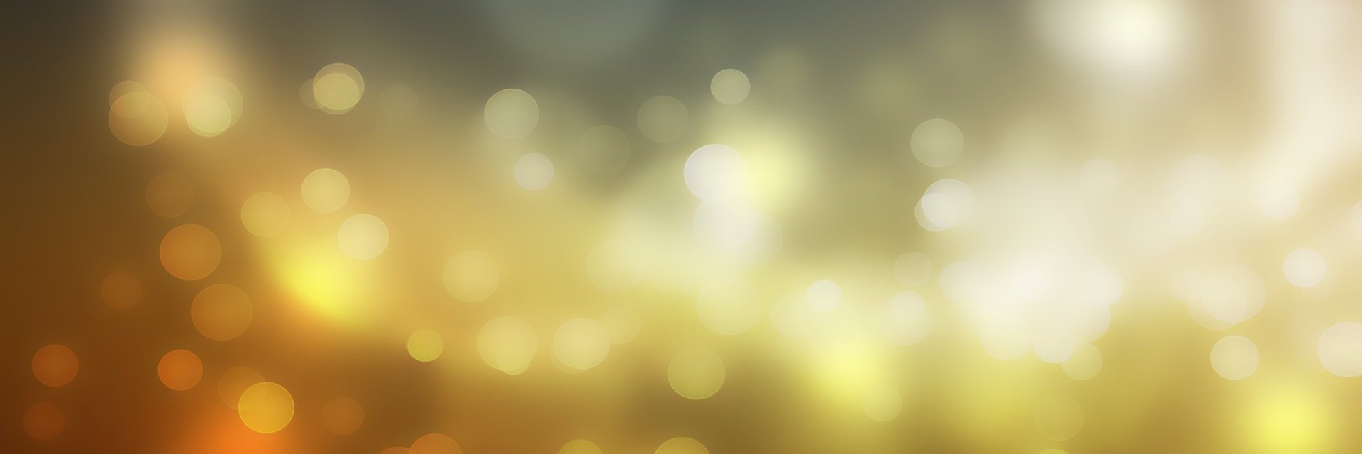 ShadyLanesForShadyPeople banner