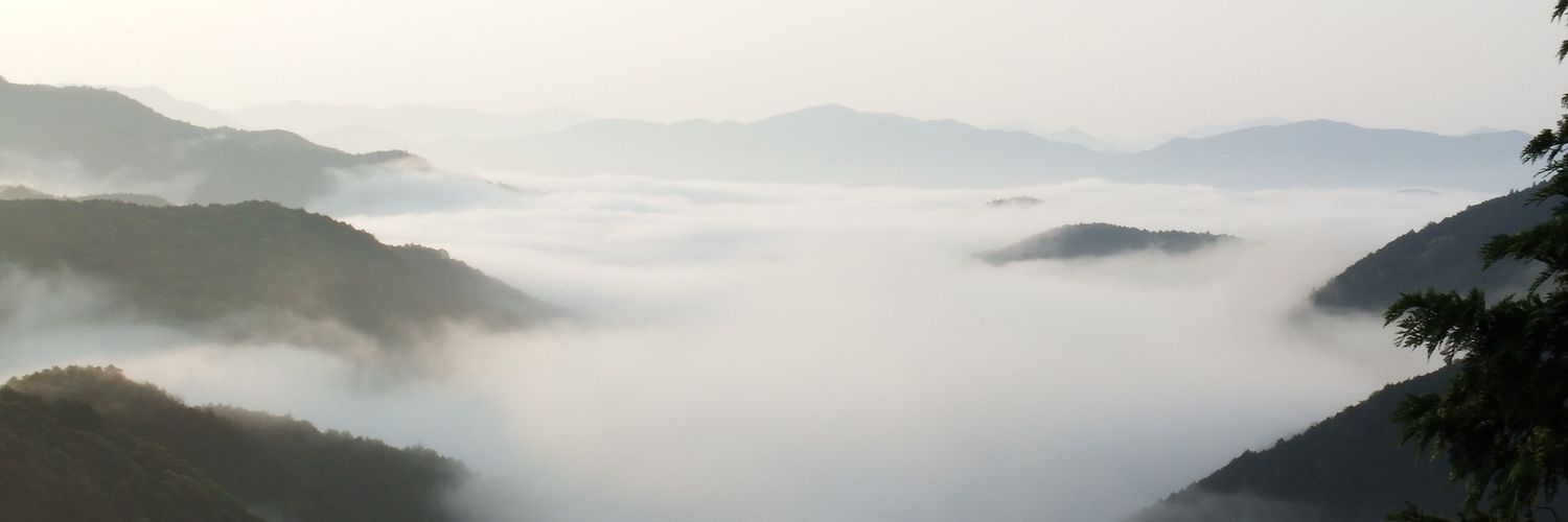 esomeijin's profile banner image