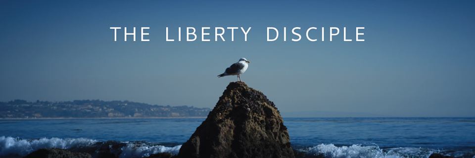 LibertyDisciple's profile banner image
