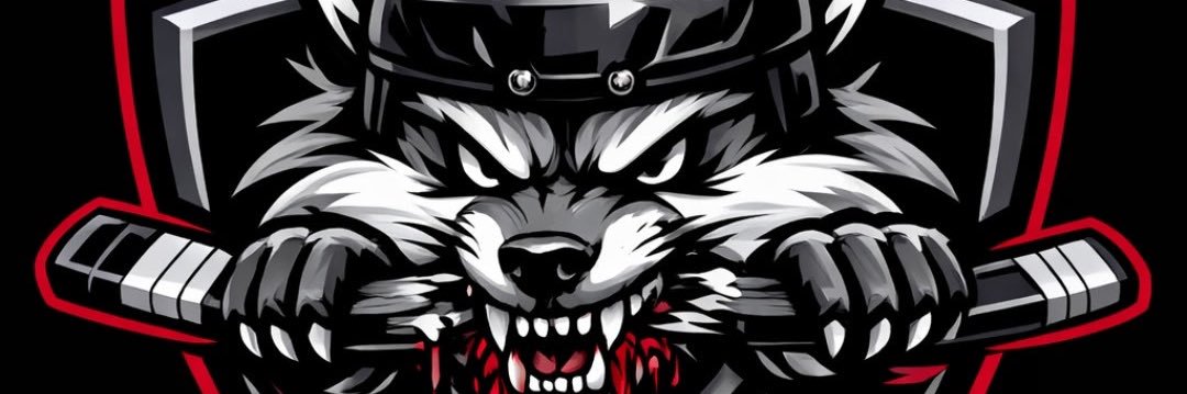 Regina Silver Foxes banner