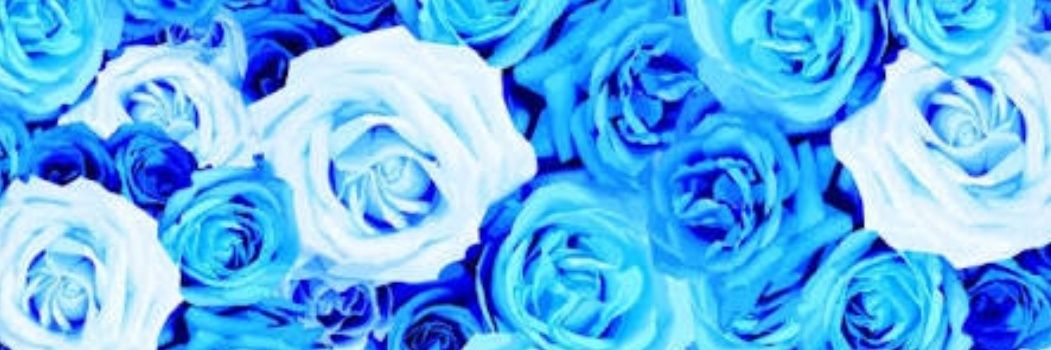 takamune13's profile banner image
