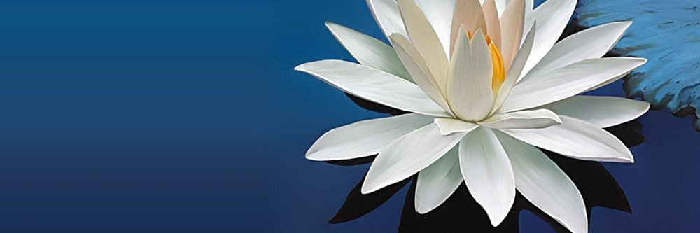 lili_vs's profile banner image