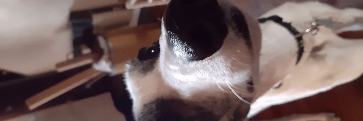 💚💚💚💚 banner