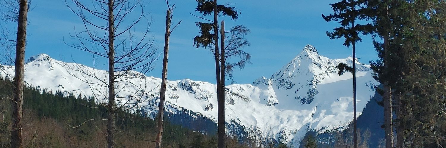 islandsofmoons's profile banner image