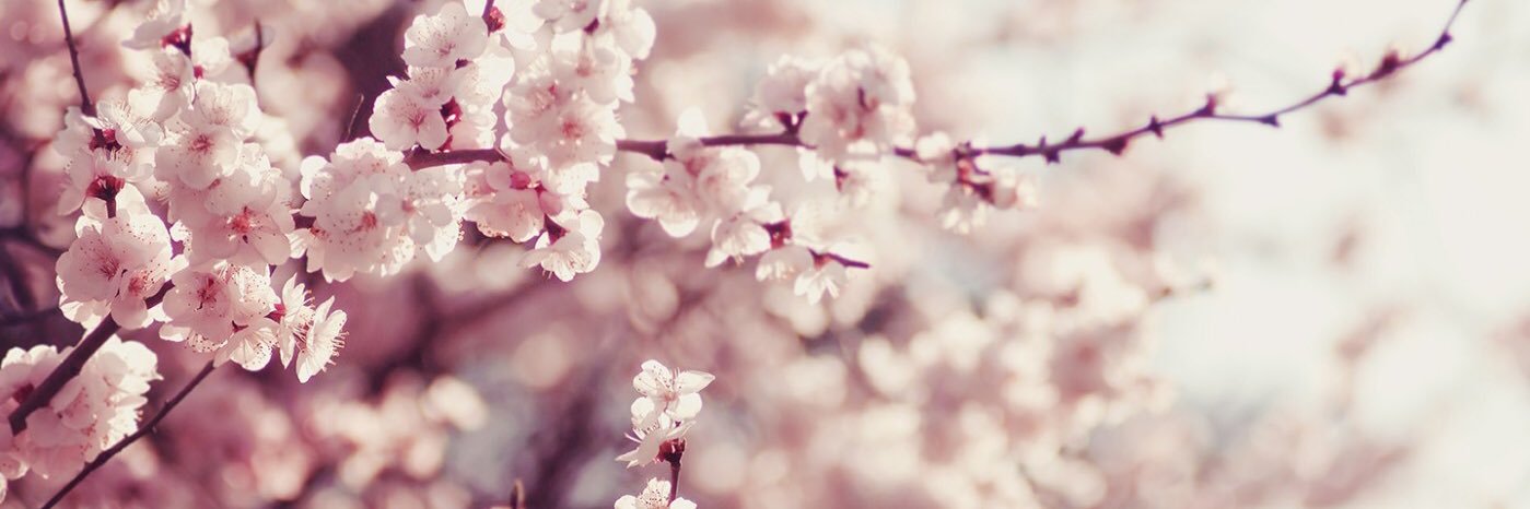 pnr_e's profile banner image