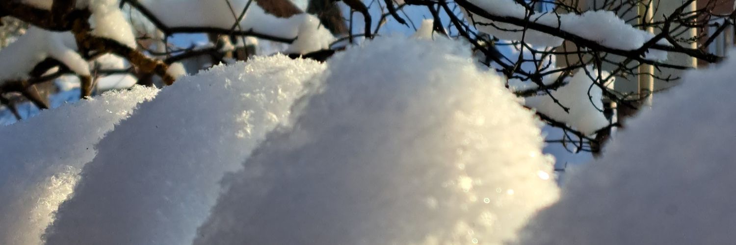 flavusflos's profile banner image