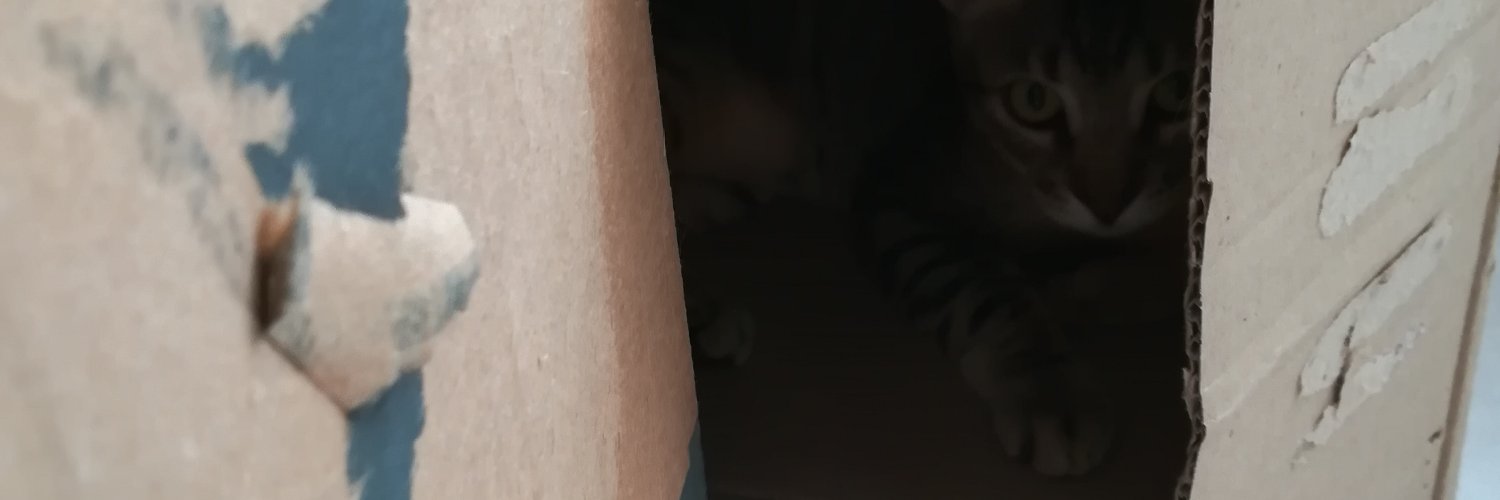 luceromaas's profile banner image