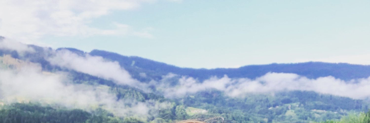 NobiloIvana's profile banner image