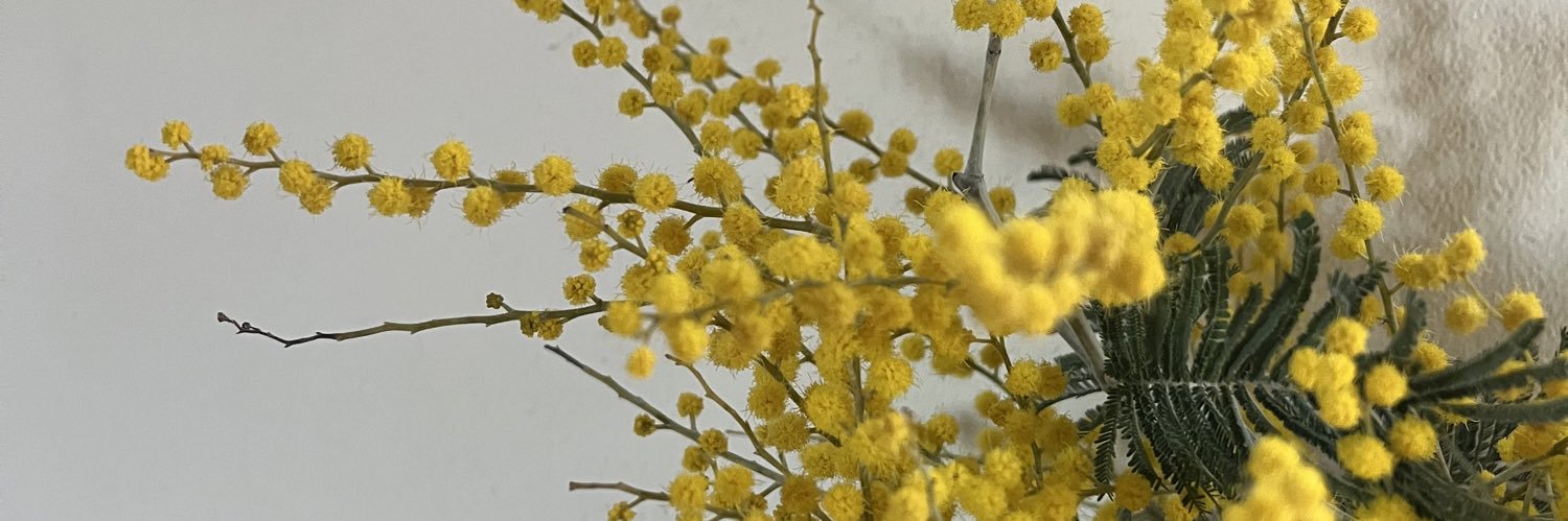 Paula C. ⚓️🎀 banner