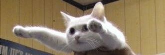pstuga's profile banner image