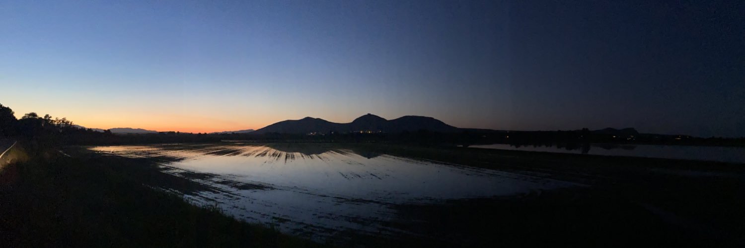 Marina López banner