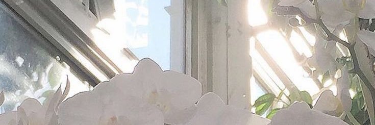 Candice. banner