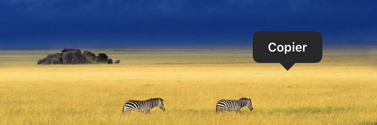 matthiasbauland's profile banner image