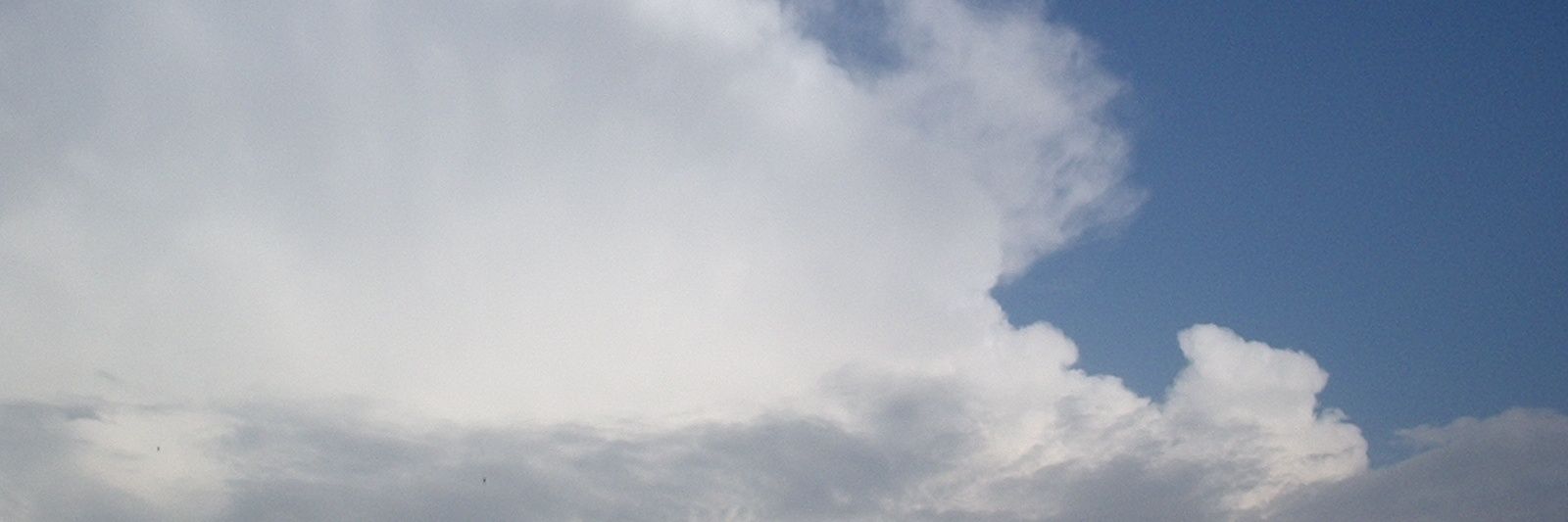 Anry Renrij banner