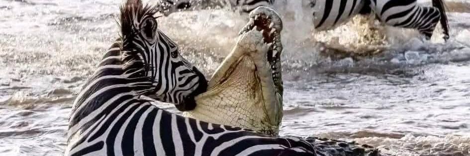 okable89's profile banner image