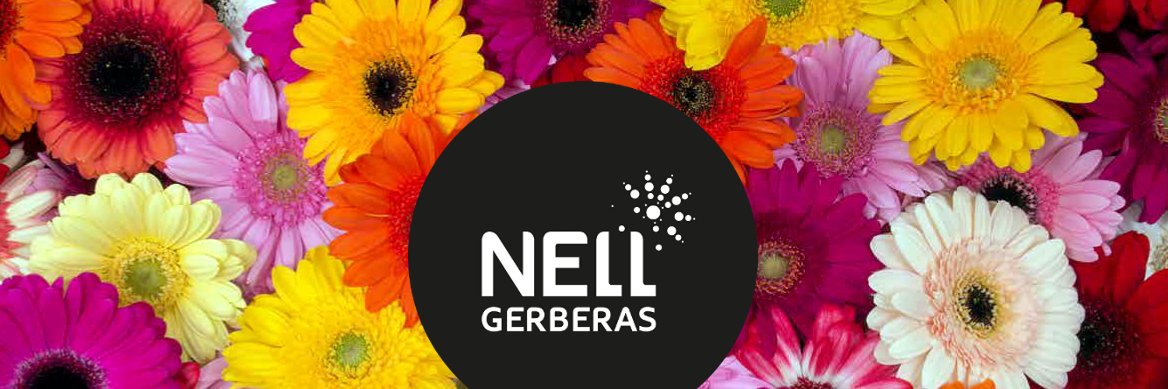 Jan Nell banner