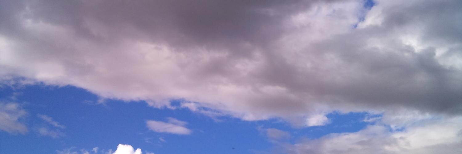 Javier Tolmo banner