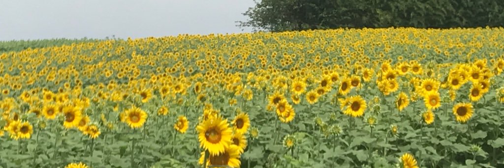 jnn_17's profile banner image
