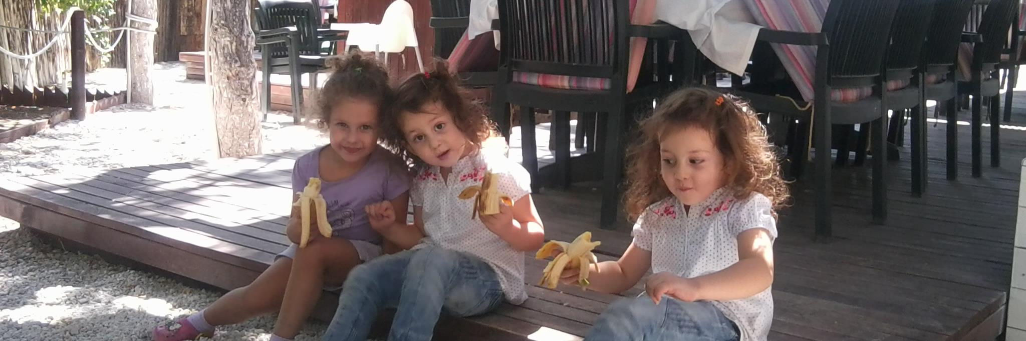 TC FıRaT GüL banner