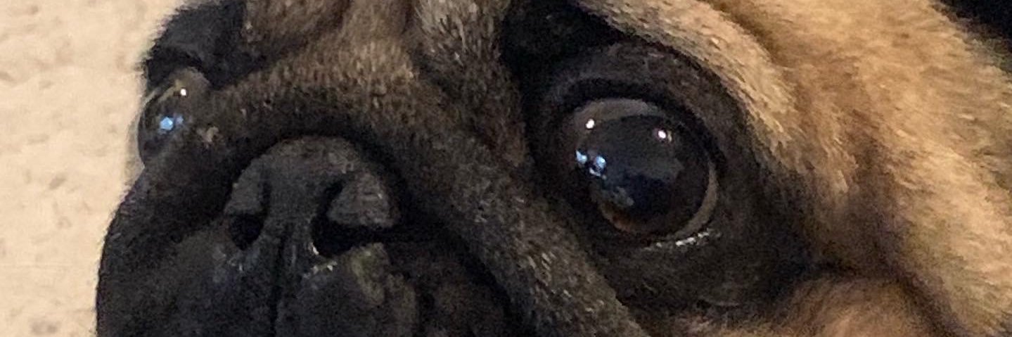 Swaroop Singh banner