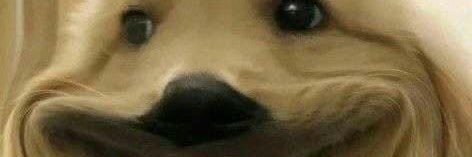 HPK ๒๕๖๖ banner