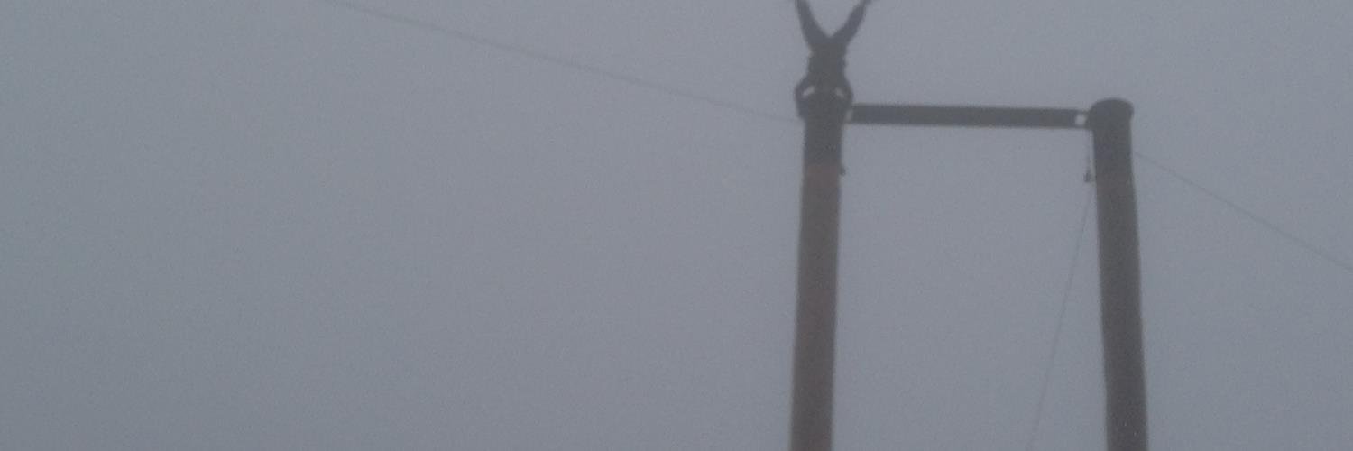 Bioalien banner