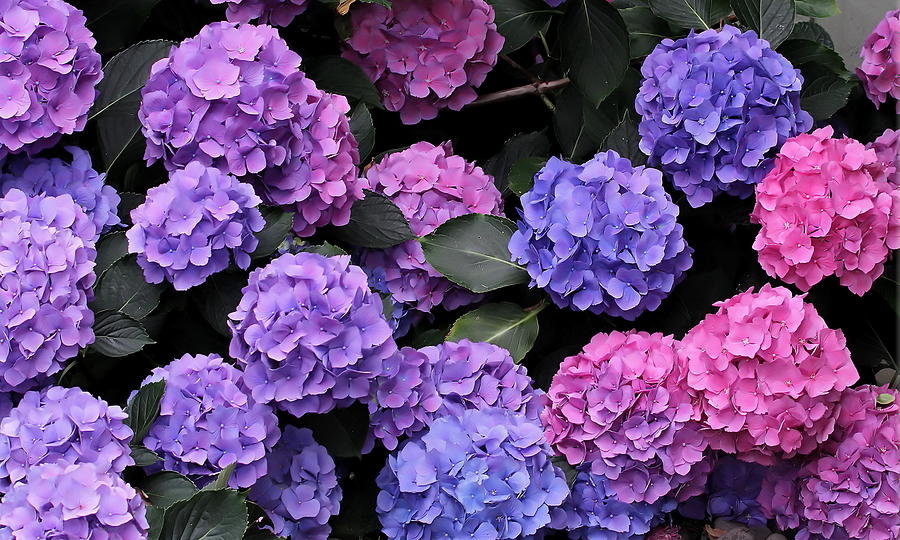 purpleatom18's profile banner image