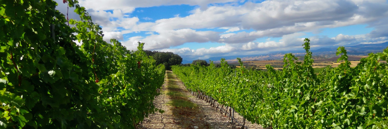 Bodega Inurrieta banner