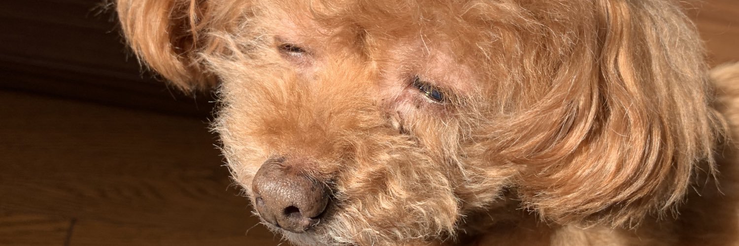 さらっとラリアット banner