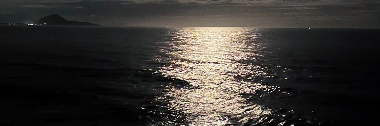 llarakoch's profile banner image