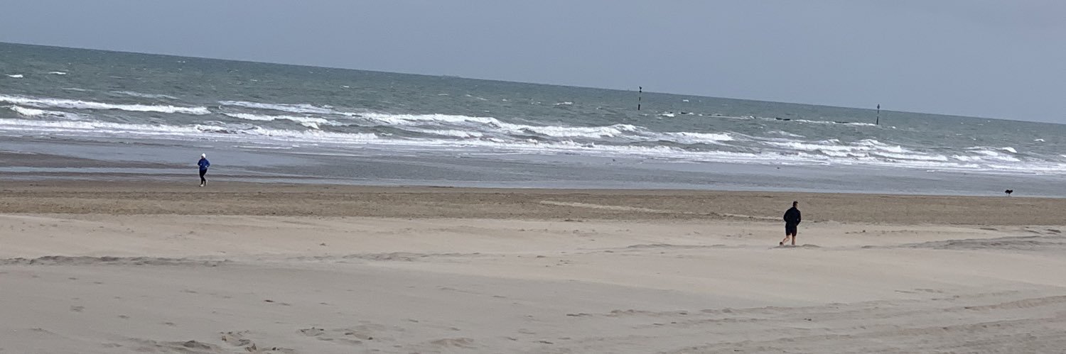 Réginald Becque banner