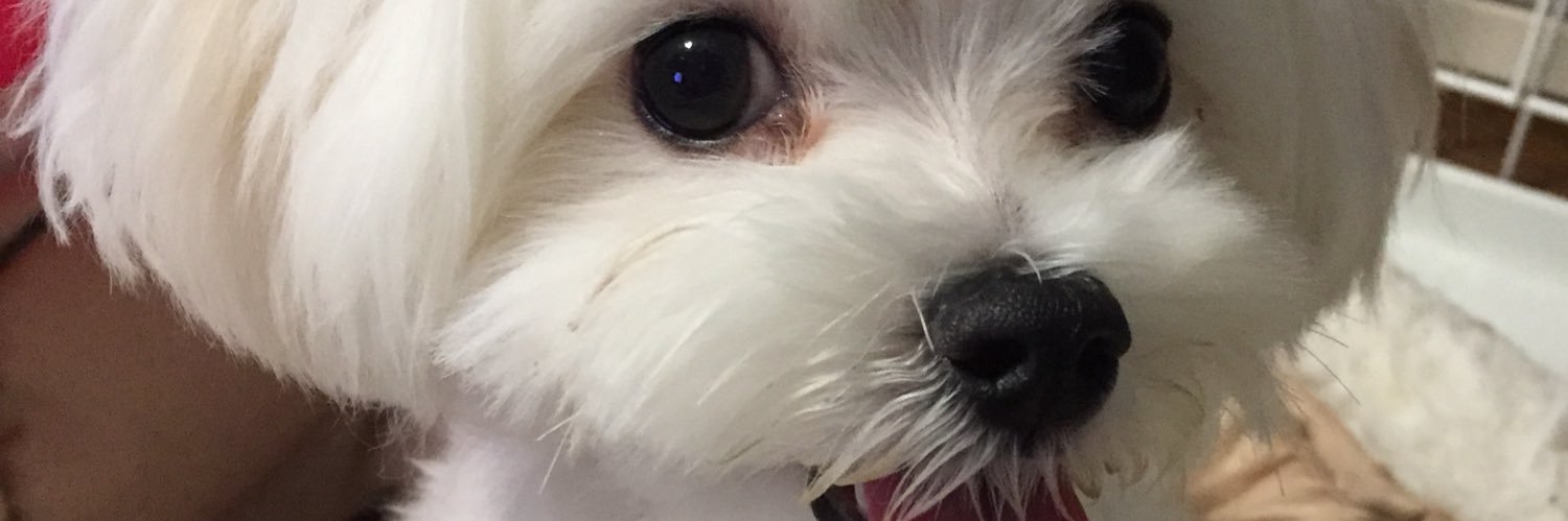tomop84's profile banner image