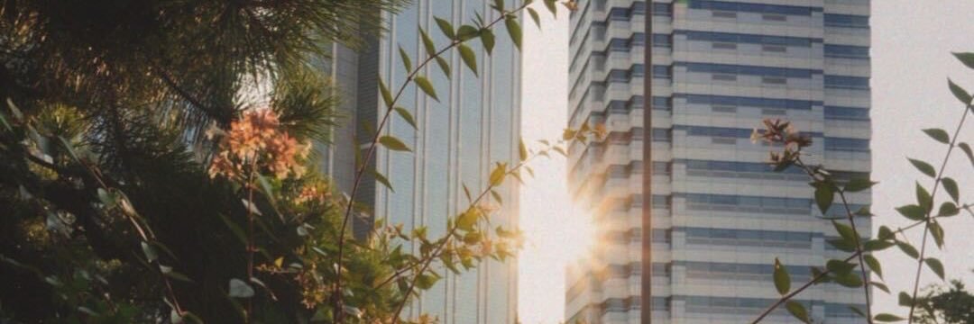 xjoasakura's profile banner image