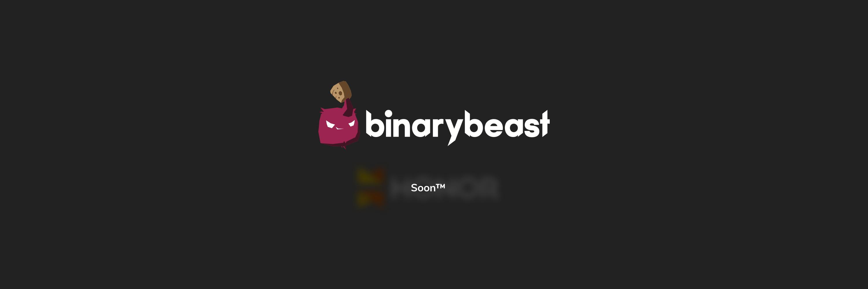 BinaryBeast banner