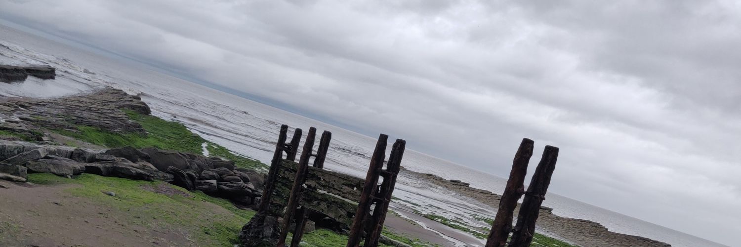 theridge91's profile banner image
