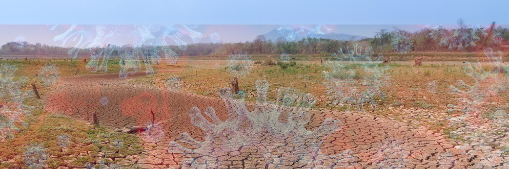 Michael Addaney, PhD banner