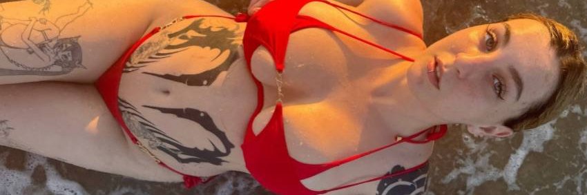 Faye_Velvet's profile banner image