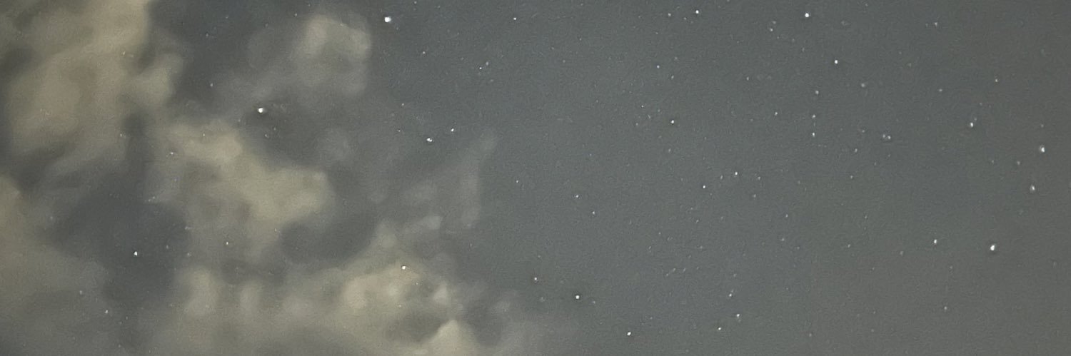 larry_sebi's profile banner image