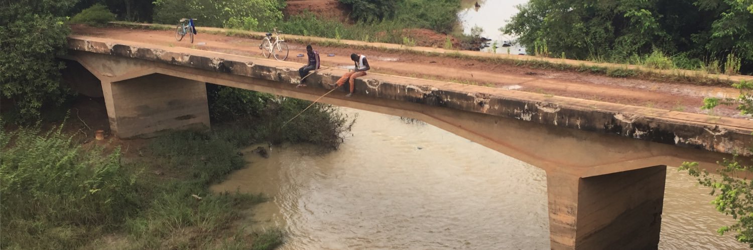 Lassane Koala banner