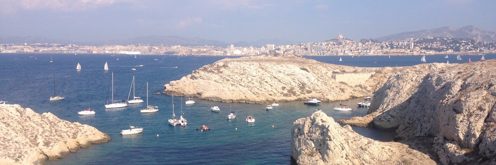 Camille Lassale banner