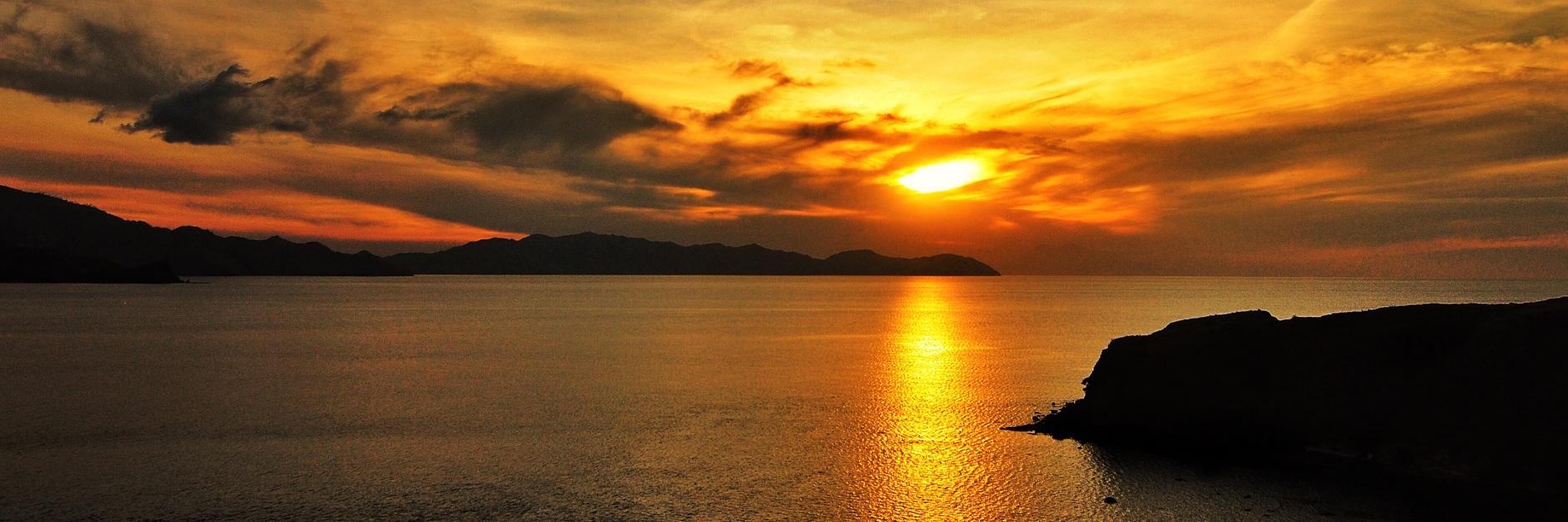 🖖That Guy I Was Telling You About🖖 banner